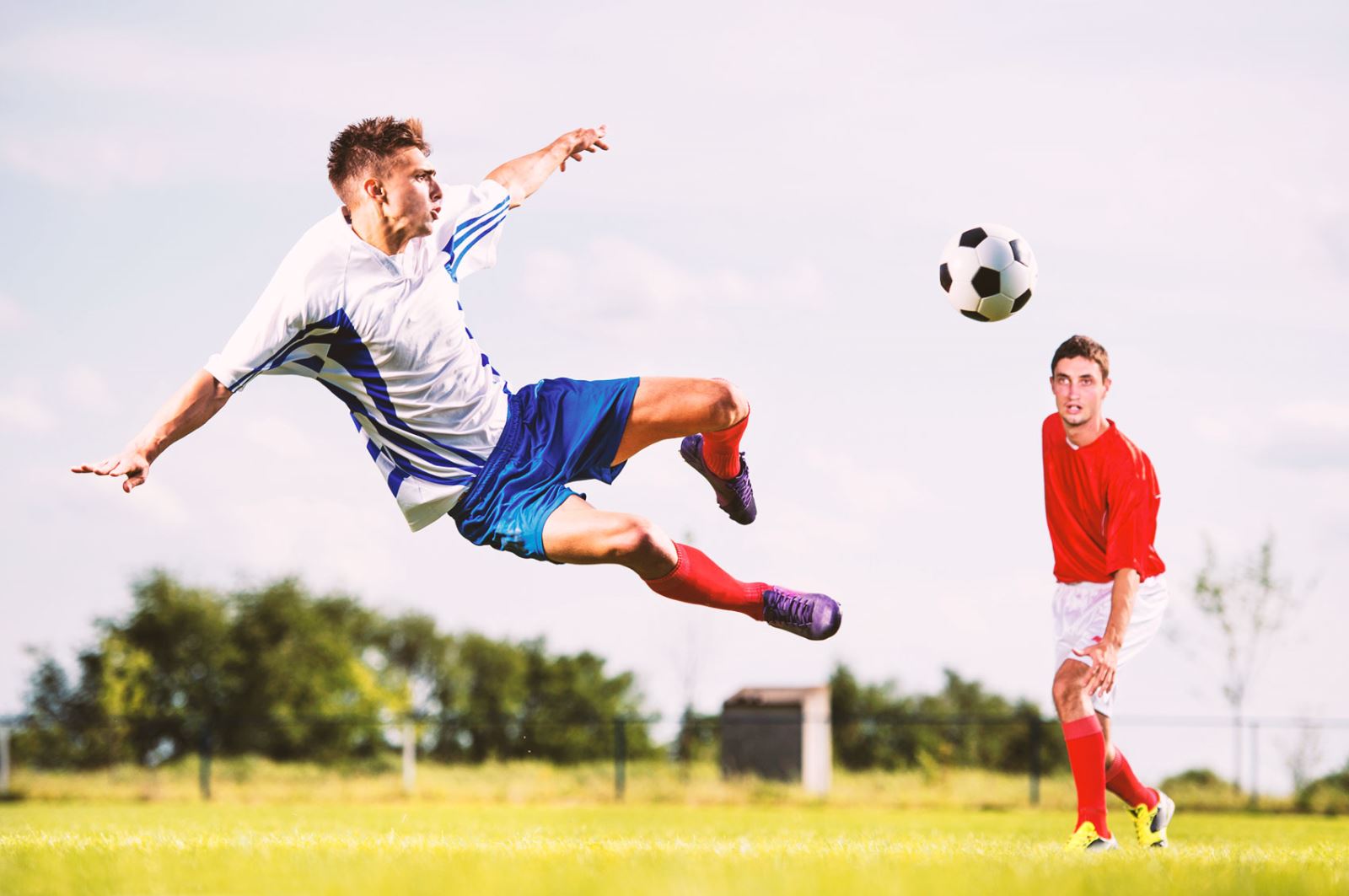 更是引发了 更是引发了