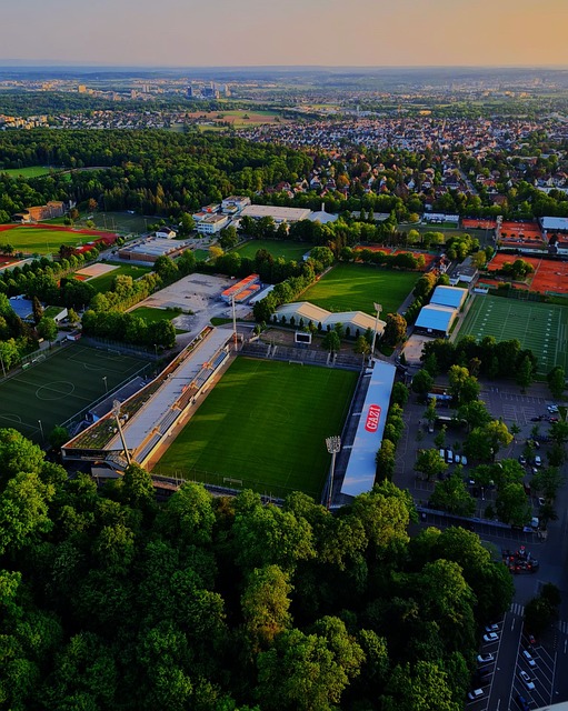 的锻炼更加 的锻炼更加